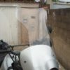 (1150) BOLHA BMW R1150GS SEM DEFLETOR - Image 7
